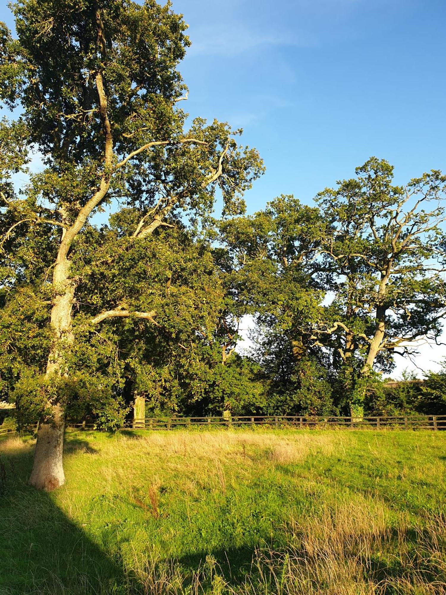 Campsite Westerlands *
